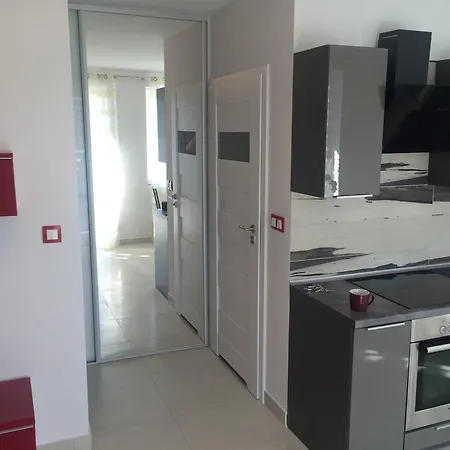 Apartament Katowice- Bazantow *