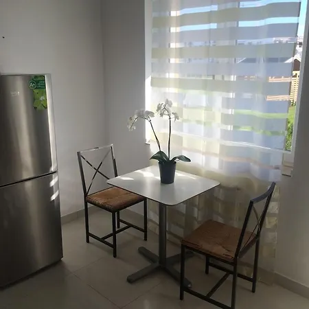 Apartament Katowice- Bazantow Appartement *